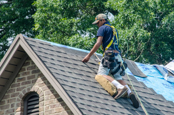 Best Local Roofing Companies  in Wofford Heights, CA